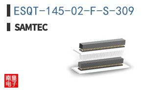 ESQT-145-02-F-S-309