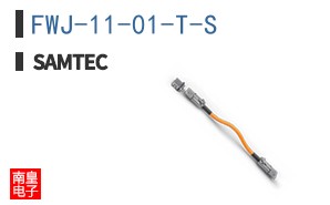 FWJ-11-01-T-S