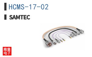 HCMS-17-02