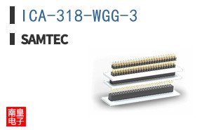 ICA-318-WGG-3