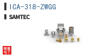 ICA-318-ZWGG