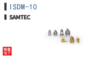 ISDM-10
