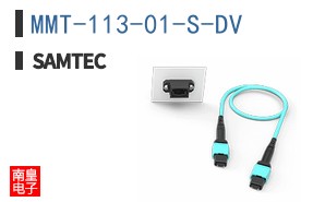MMT-113-01-S-DV