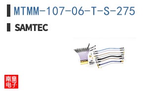 MTMM-107-06-T-S-275