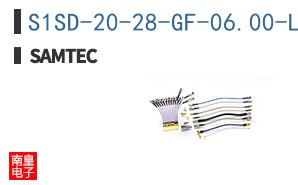 S1SD-20-28-GF-06.00-L