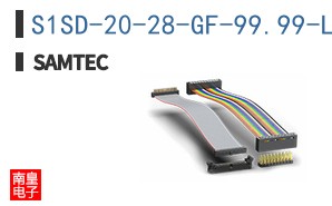 S1SD-20-28-GF-99.99-L