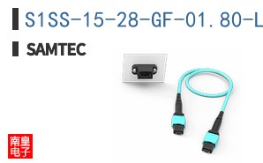 S1SS-15-28-GF-01.80-L