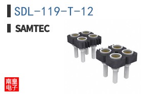 SDL-119-T-12