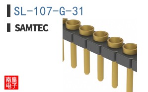 SL-107-G-31