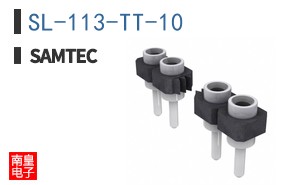 SL-113-TT-10