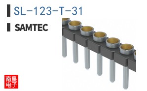 SL-123-T-31