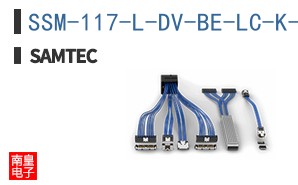 SSM-117-L-DV-BE-LC-K-FR