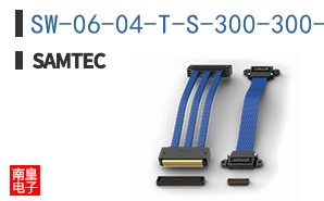 SW-06-04-T-S-300-300-VS-P