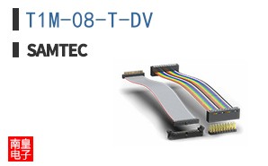 T1M-08-T-DV