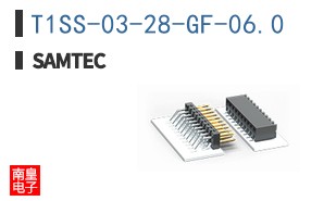 T1SS-03-28-GF-06.0