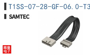 T1SS-07-28-GF-06.0-T3
