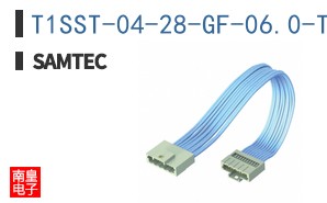 T1SST-04-28-GF-06.0-T3