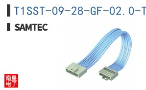 T1SST-09-28-GF-02.0-T3