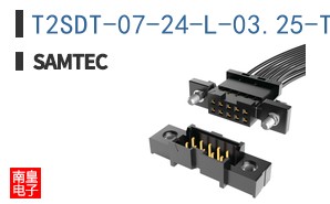 T2SDT-07-24-L-03.25-TR-NDS