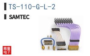 TS-110-G-L-2