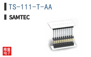 TS-111-T-AA