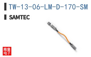 TW-13-06-LM-D-170-SM