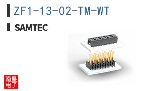 ZF1-13-02-TM-WT