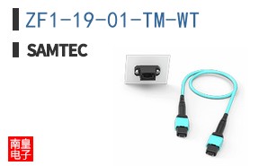 ZF1-19-01-TM-WT