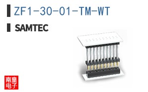 ZF1-30-01-TM-WT