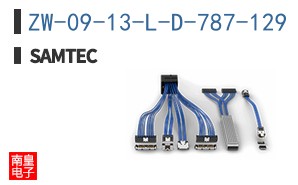 ZW-09-13-L-D-787-129