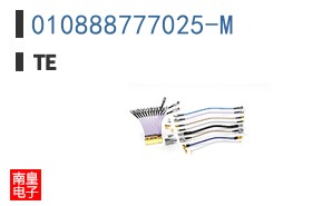 010888777025-M
