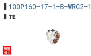 100P160-17-1-B-WRG2-17