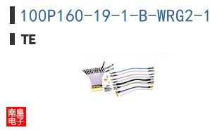 100P160-19-1-B-WRG2-19
