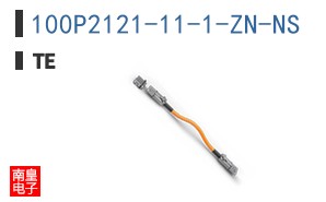 100P2121-11-1-ZN-NS