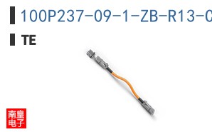 100P237-09-1-ZB-R13-CF