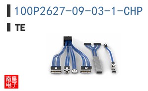 100P2627-09-03-1-CHP