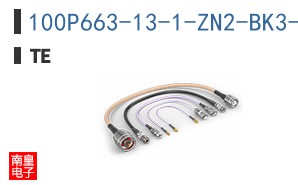 100P663-13-1-ZN2-BK3-13