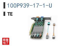 100P939-17-1-U
