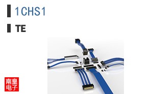1CHS1