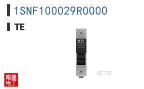 1SNF100029R0000