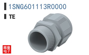 1SNG601113R0000