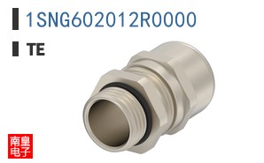 1SNG602012R0000