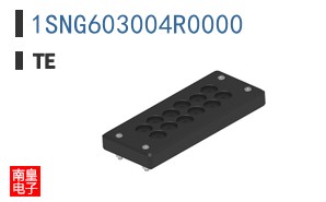 1SNG603004R0000