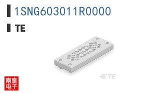 1SNG603011R0000