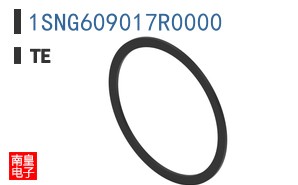 1SNG609017R0000