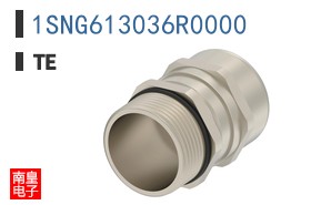 1SNG613036R0000