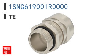 1SNG619001R0000