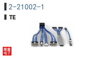 2-21002-1