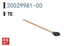 20029981-00