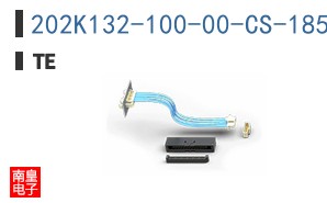 202K132-100-00-CS-1858-0